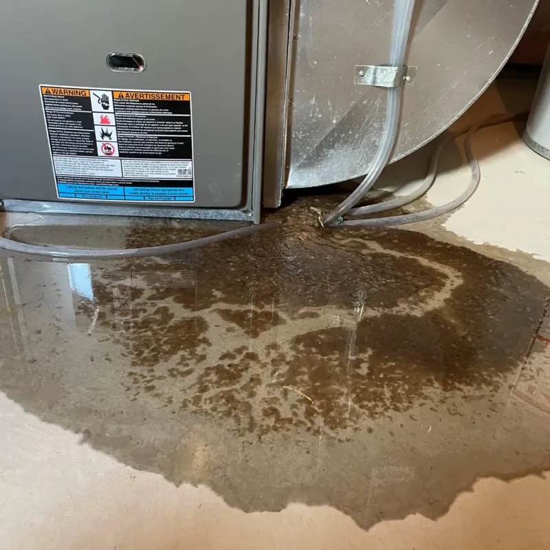 Appliance Leak Cleanup in Maysville, NC