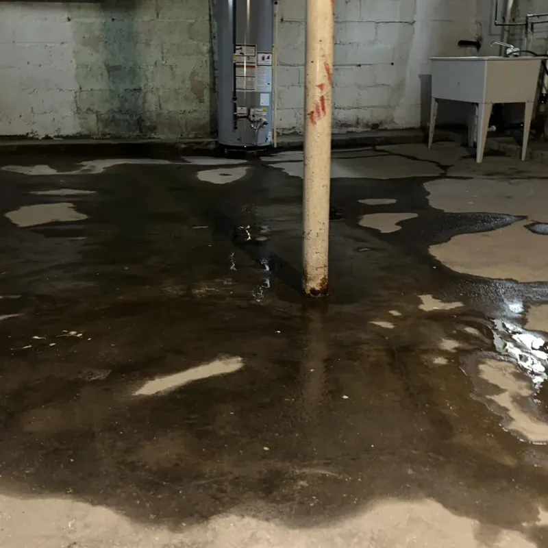 Emergency Water Extraction And Removal in Maysville, NC